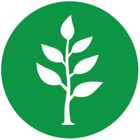 icon-green-1 icon-green-1