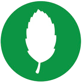 icon-green-2