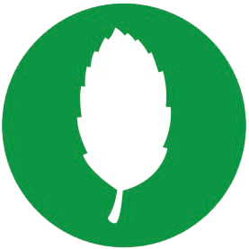 icon-green-2 icon-green-2