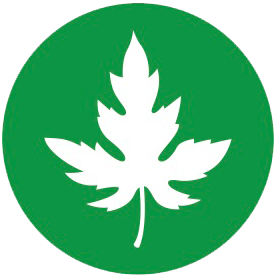 icon-green-3 icon-green-3