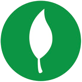 icon-green-4 icon-green-4